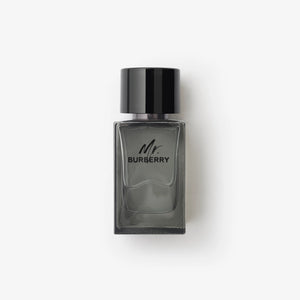 BURBERRY MR. BURBERRY| MEN'S EDT 100ML