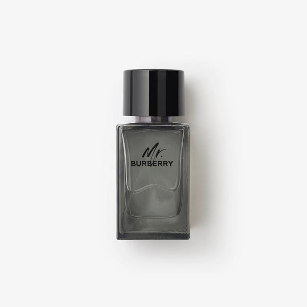 BURBERRY MR. BURBERRY| MEN'S EDT 100ML