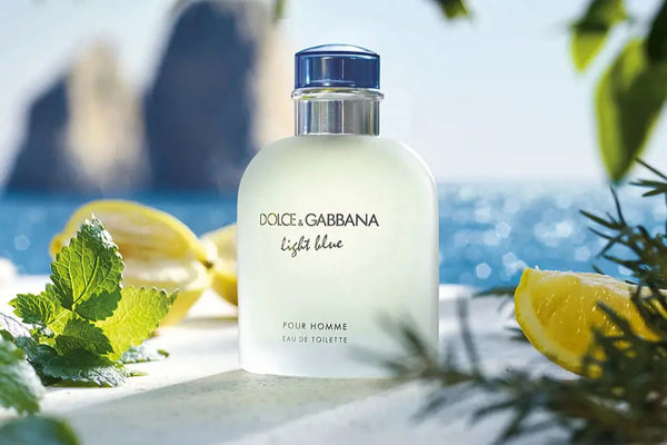 Dolce & Gabbana Light Blue Pour Homme| Men's EDT 125ML